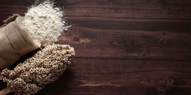 Sorgum Nedir? Sorgumun Faydaları, Zararları ve Yan Etkileri Nelerdir?